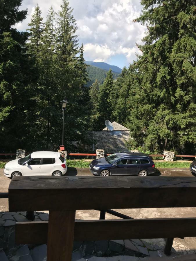 Villa Bonita En Plopilor Sibiu Exteriér fotografie