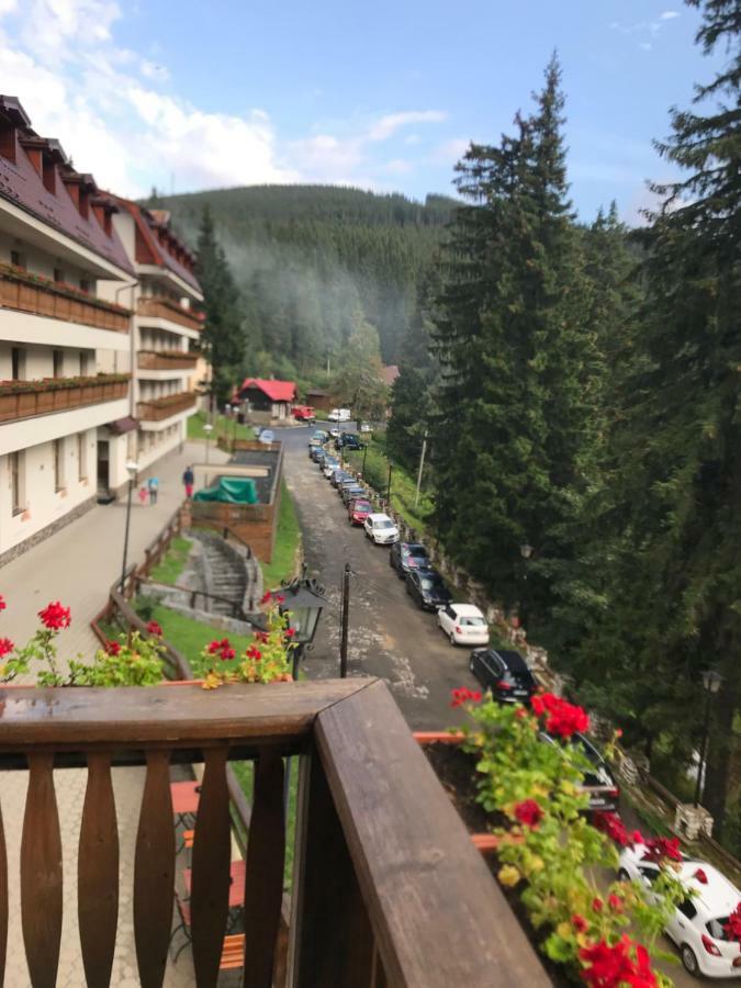 Villa Bonita En Plopilor Sibiu Exteriér fotografie